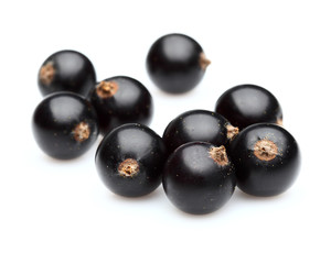 Ripe blackcurrant