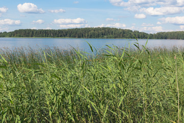 Seliger in the summer.