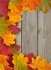 Naklejka na ściany i meble Bunte Herbstblätter auf Holz