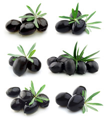 Collection of sweet olives