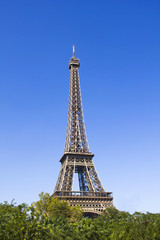 Fototapeta premium Eiffel Tower