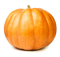 pumpkin one