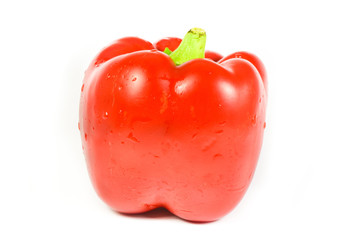 Isolated red pepper