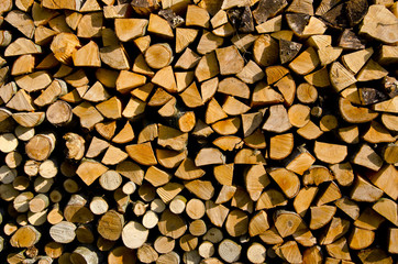 dry firewood background