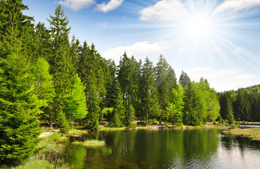 Fototapeta premium Small Arber Lake in National Park Bavarian Forest - Germany