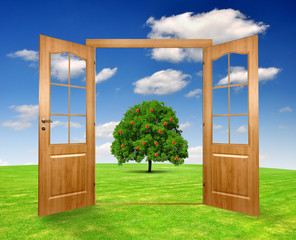 Open the door to the summer landscape with apple tree