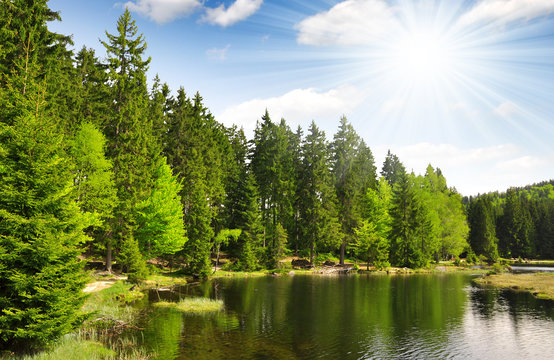Small Arber Lake in National Park Bavarian Forest - Germany
