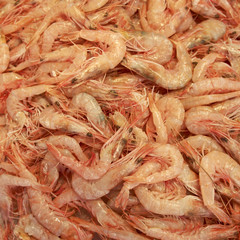shrimps for sale at the local market, natural background