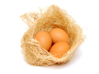 Three brown eggs in the nest