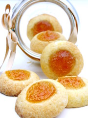 ovis molis biscotti