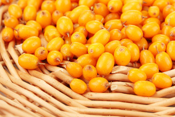 sea buckthorn on wicker mat close-up