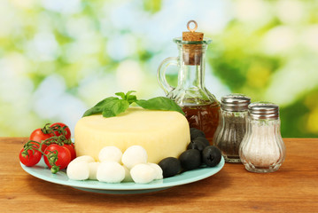 cheese mozzarella with vegetables in the plate