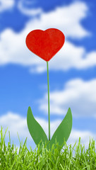 plant with heart on sky background