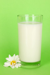 Glass of fresh new milk with white flower on green  background