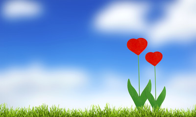green grass and blue sky with heart slowers