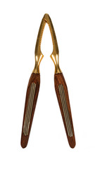 Golden nutcracker isolated