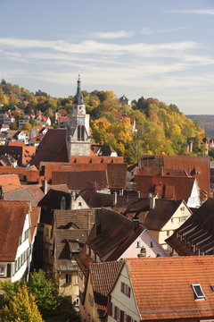 T&uuml;bingen im Herbst, Hochkant ooc
