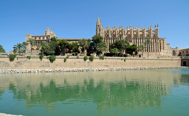 Le palais et la cathédrale de Palma de Majorque