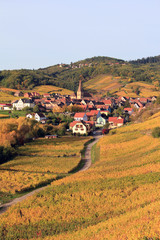 Fototapeta na wymiar Niedermorschwihr en Alsace
