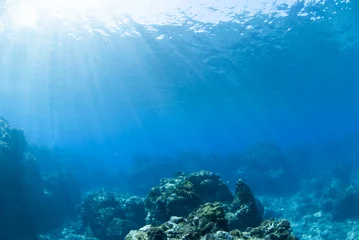 Foto op Aluminium 海底に差し込む光 © blueworldsender
