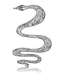 Obraz premium Beautiful vintage art snake