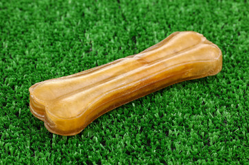 Dog bone on green grass