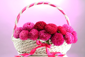 Fototapeta na wymiar piękne kwiaty aster w koszyku, na różowym tle