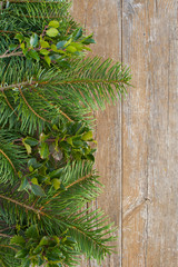 fir branches
