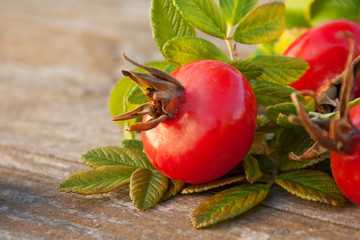 rose hip