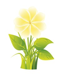 flower vector