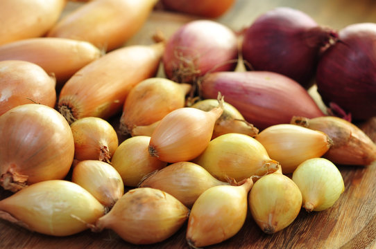 Zwiebelsorten