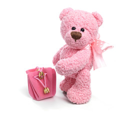 Teddy bear in classic vintage style isolated on white background