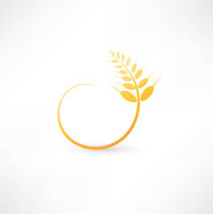 Wheat ears icon