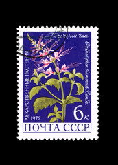 USSR shows Herbs. Nephritic tea, circa 1972