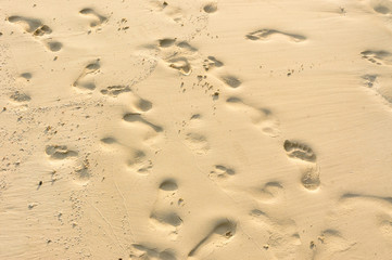 Footprints