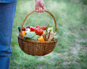 Basket full of fresh vegetables