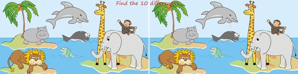 animals-10 differences