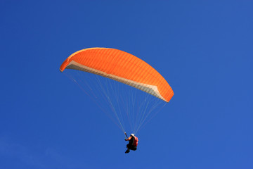 paraglider