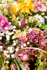 Obraz premium bouquet of colorful flowers