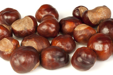 Chestnuts isolated on white background