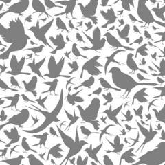 Background of birds3