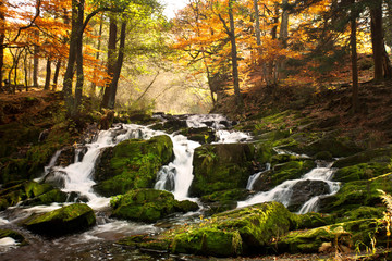 im Herbst - Wasserfall im Wald