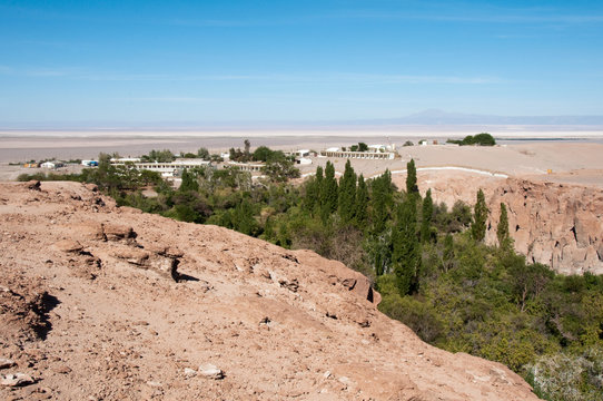 Jerez oasis, Toconao (Chile)