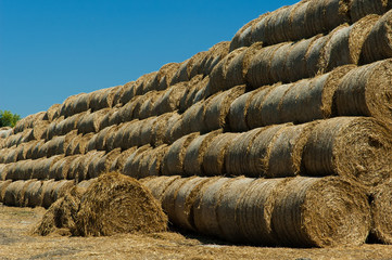 Straw bales