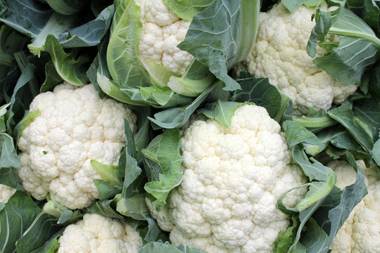 Bio - Blumenkohl