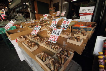 Mushroom on sale at a store in Tsukiji, Tokyo