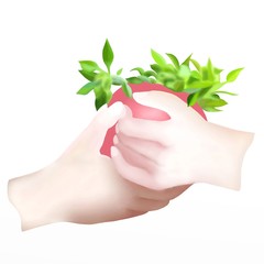 Two Hand Holding A Pot with A Little Plant