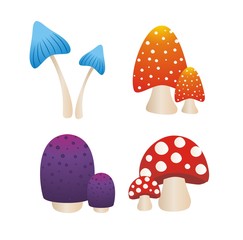 colourfull mushroom