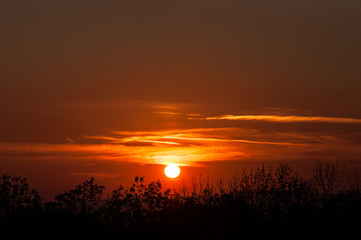 Obraz premium Sunset over black forest mist