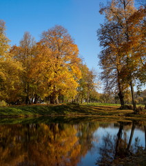Autumn landscape of lake